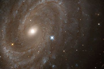 https://galaxy.myboss228.live/|How Galaxies Work .